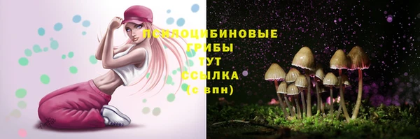 амф Осташков