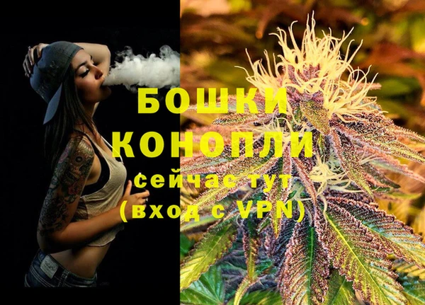 стафф Пересвет