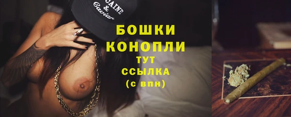 стафф Пересвет