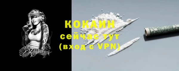 дживик Пестово