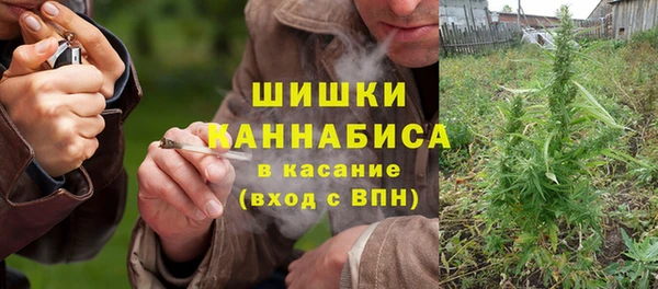 амф Осташков