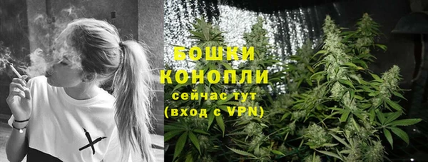амф Осташков