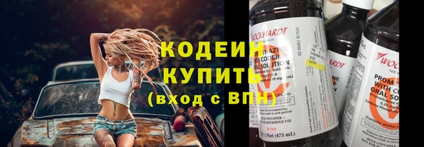 дживик Пестово