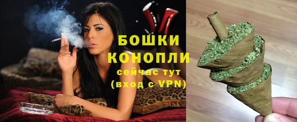 дживик Пестово